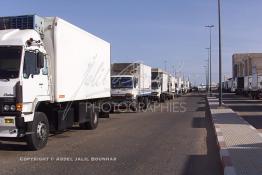 Image du Maroc Professionnelle de  Les camions des transporteurs de poissons au port de Laayoune 2 Décembre 2003. (Photo / Abdeljalil Bounhar)

